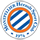 Pronostici Coppa di Francia Montpellier domenica  2 gennaio 2022