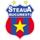 Pronostici calcio Superliga Romania Fcsb Bucarest domenica  7 febbraio 2021